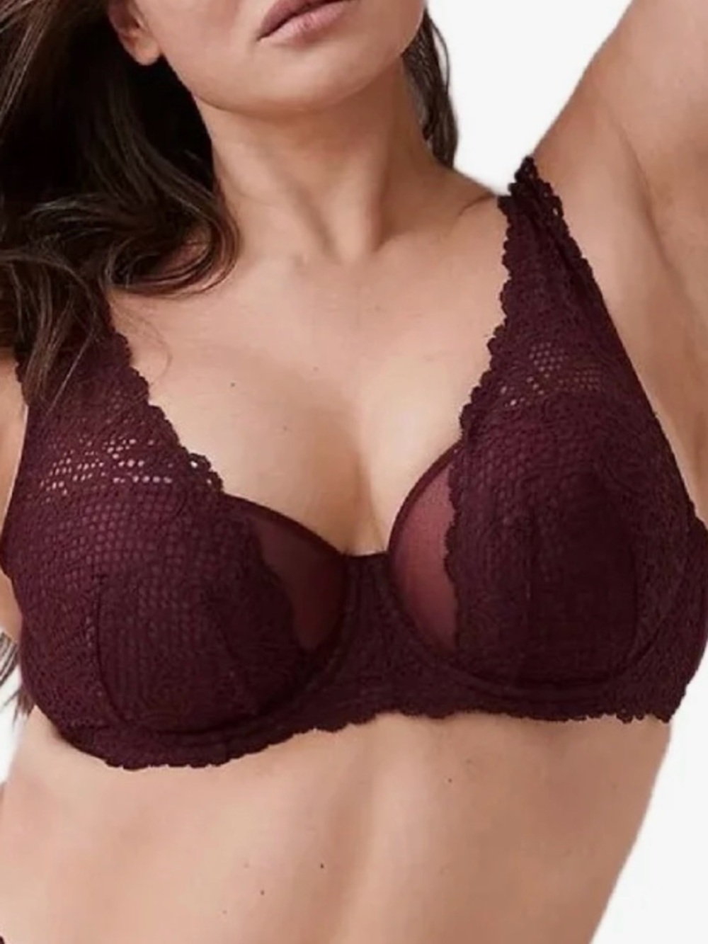 Lane Bryant Cacique Wine Lace Underwire Bra